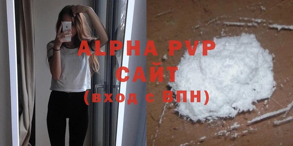 индика Белоозёрский