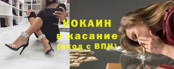 индика Белоозёрский