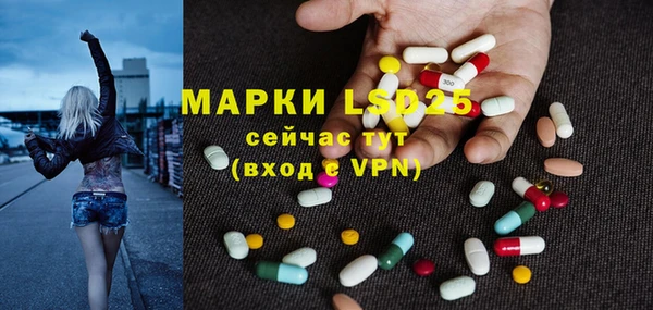 индика Белоозёрский