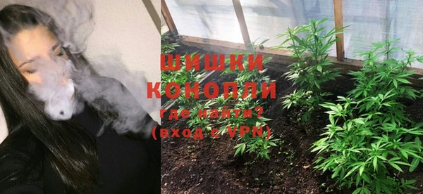 индика Белоозёрский