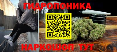 дживик Камышлов