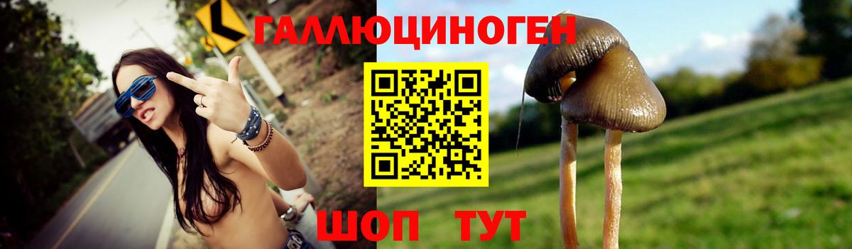 Кувандык  Галлюциногенные грибы GOLDEN TEACHER  Вход с VPN  купить   Галлюциногенные грибы Cubensis 